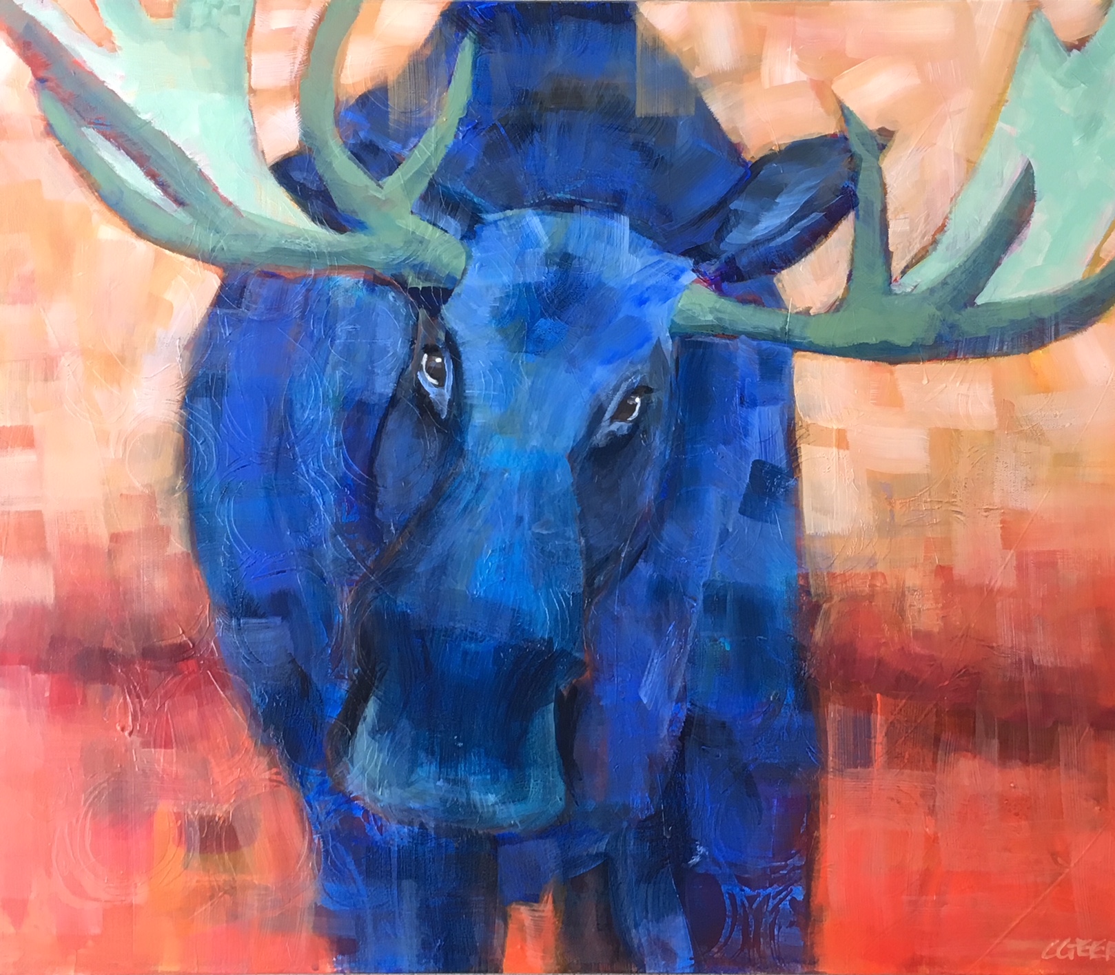 Geerts.Blue Moose