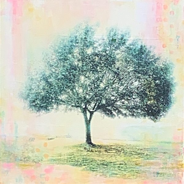 Day for a Daydream, mixed media tree painting by Lori Bagneres | Effusion Art Gallery + Cast Glass Studio, Invermere BC