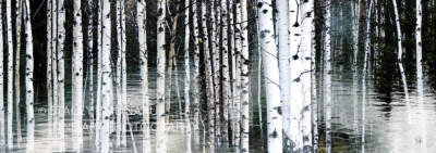 Nature's Embrace - panoramic, original landscape photography by Stacey Bodnaruk at Effusion Art Gallery in Invermere, BC