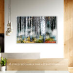 Nature's Embrace, original landscape photography by Stacey Bodnaruk at Effusion Art Gallery in Invermere, BC