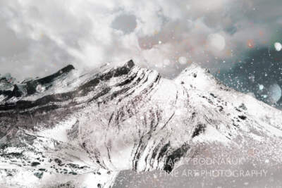 Synergy Icefield by Stacey Bodnaruk