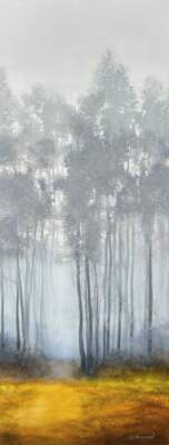 Led Away, original acrylic misty tree landscape by Canadian artist Jane Bronsch at Effusion Art Gallery in Invermere, BC.