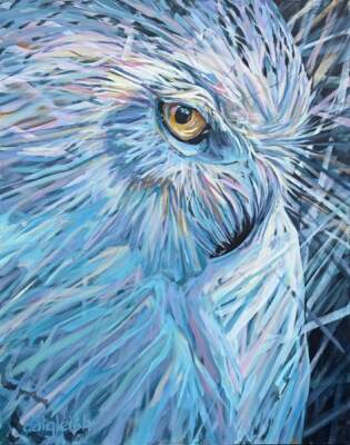 The Wise One, original acrylic snowy owl painting by Canadian artist Keith Dalgleish at Effusion Art Gallery in Invermere, BC.