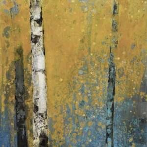 Let Light Lead the Way